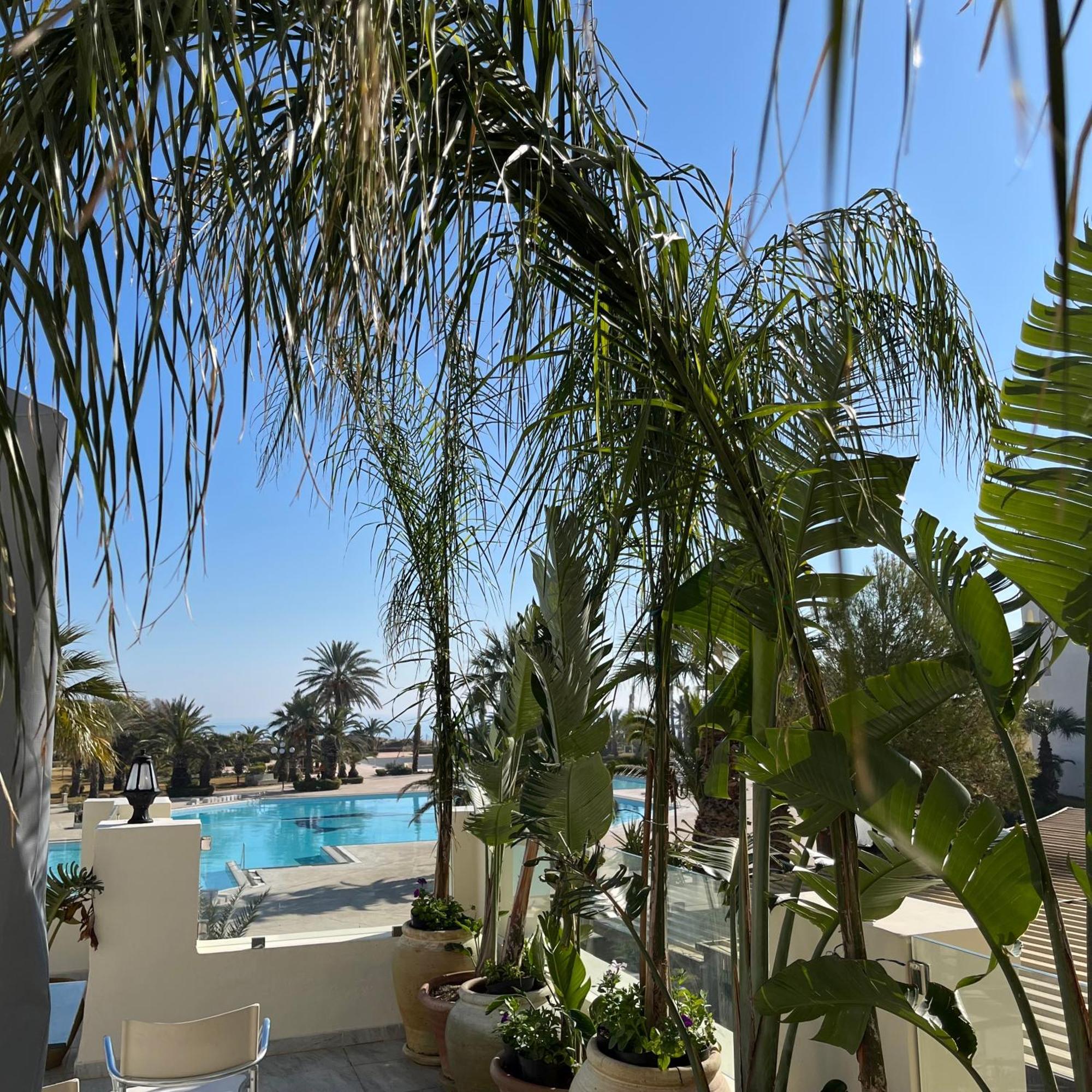 Sentido Marillia Resort & Spa Yasmine Eksteriør billede